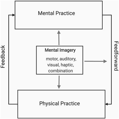 Repetition and practice. Developing mental training with young violinists: a collaboration